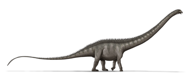 Υπέρσαυρος: Ο μεγαλύτερος δεινόσαυρος που περπάτησε στη Γη
