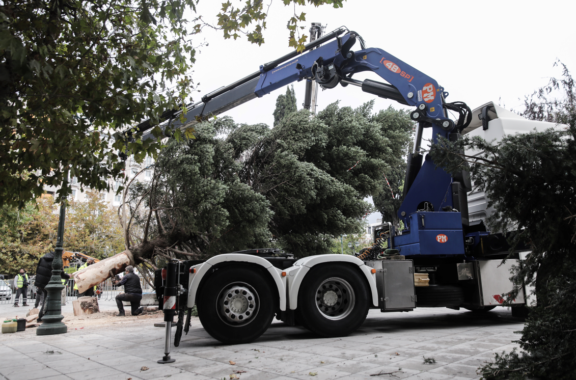 Στήθηκε το χριστουγεννιάτικο δέντρο στην πλατεία Συντάγματος