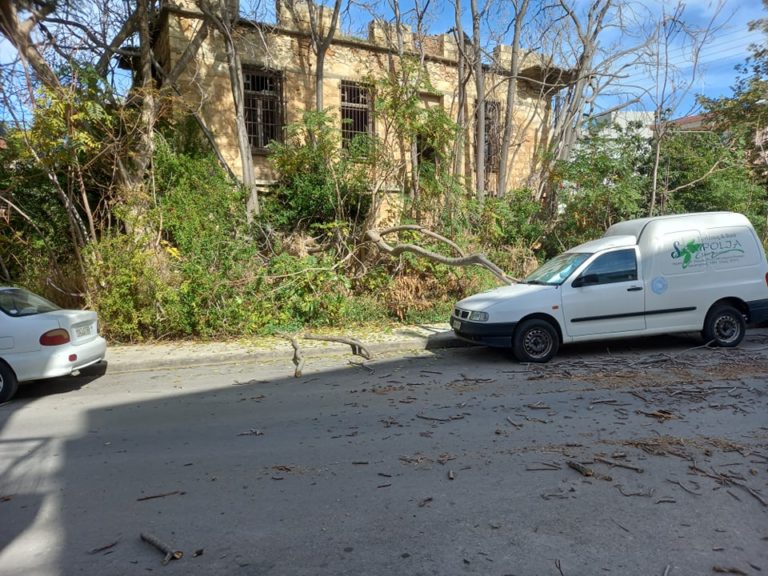 Το δένδρο έπεσε πάνω σε αυτοκίνητο