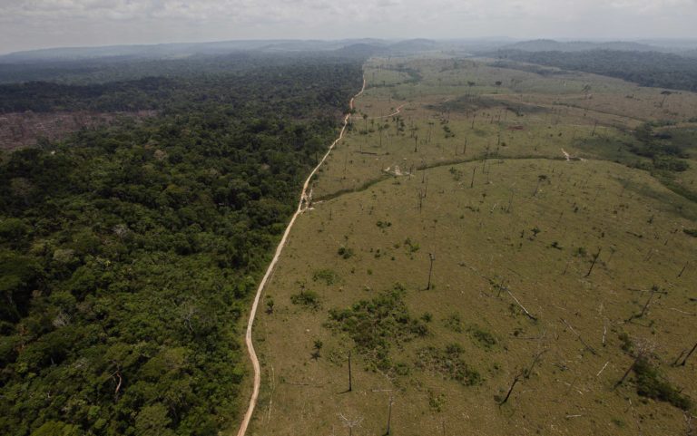 Βραζιλία: Δραματική η αποψίλωση του δάσους του Αμαζονίου – Αυξήθηκε κατά 22% σ’ έναν χρόνο
