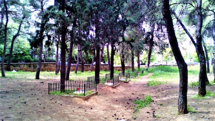 Εικόνα