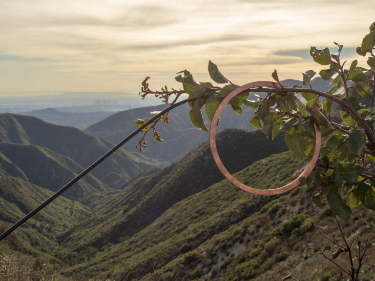 «Tree of Life»: Πώς τα δέντρα μπορούν να μας βοηθήσουν να προσεγγίσουμε έναν άλλο πλανήτη