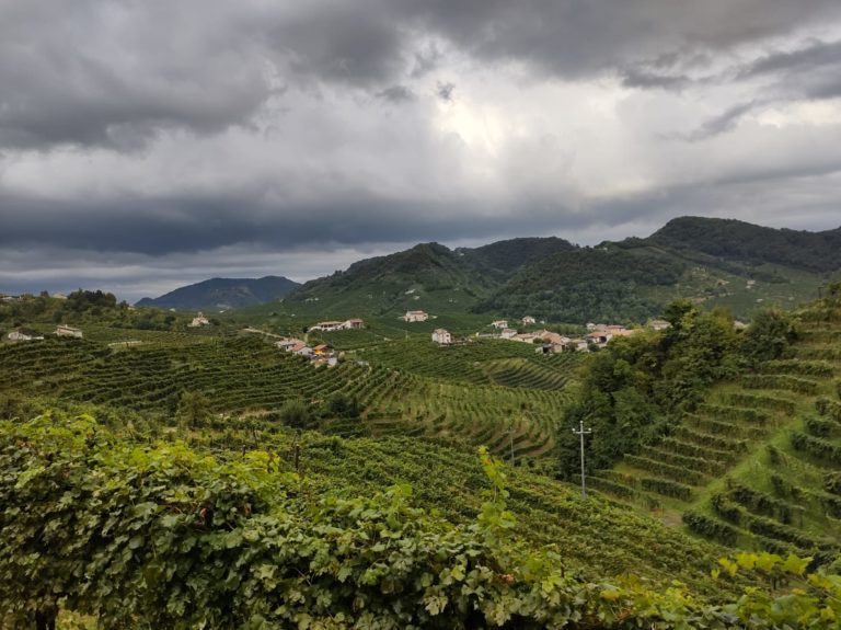 Prošek vs Prosecco: Σε χάρτη του 1585 το κλειδί για την Ιταλική νίκη;
