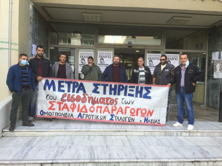 «Διασφαλίστε την τιμή και σώστε την σταφίδα…»