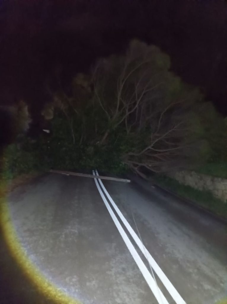 Ζάκυνθος: Πτώσεις δέντρων και διακοπές ρεύματος από τους θυελλώδεις ανέμους