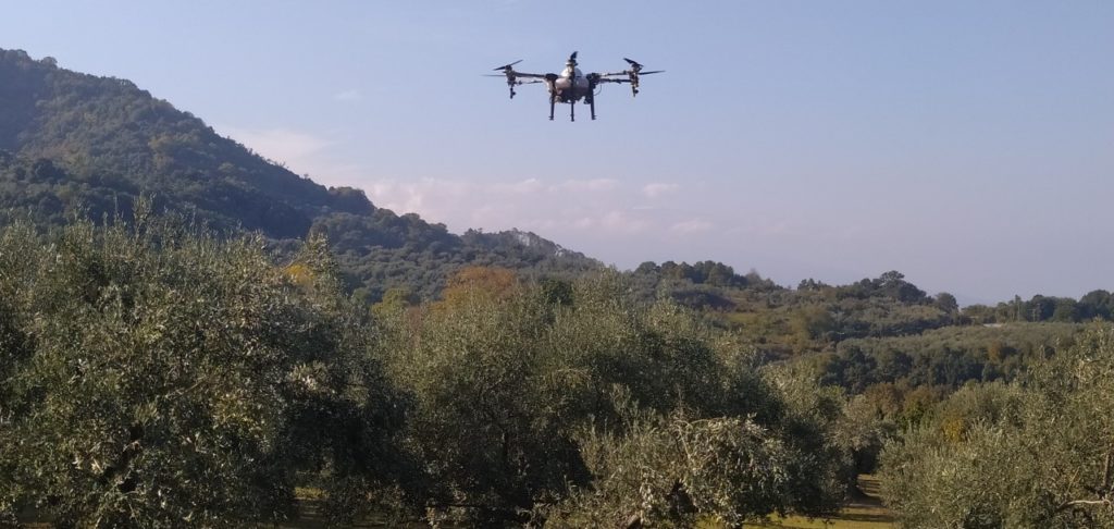 Ψεκασμοί με drones για τον δάκο της ελιάς σε Κόκκινο Νερό, Καρίτσα, Κεραμίδι