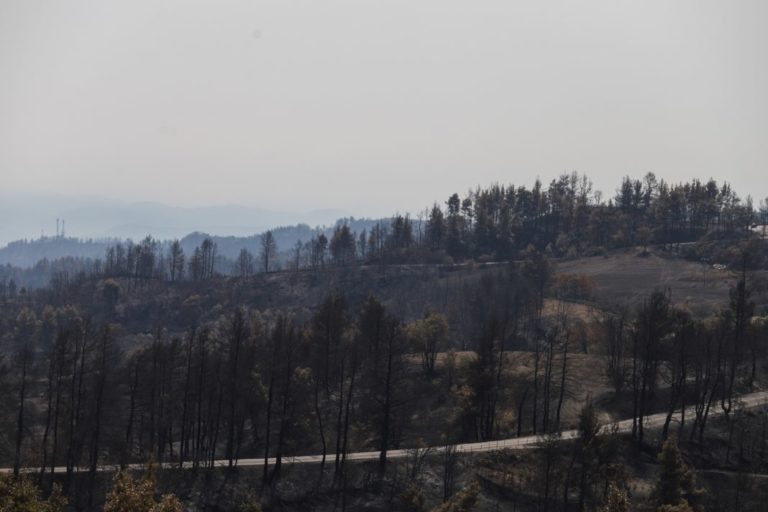 Ευνοϊκότεροι όροι για τη στήριξη των επιχειρήσεων της Βόρειας Εύβοιας