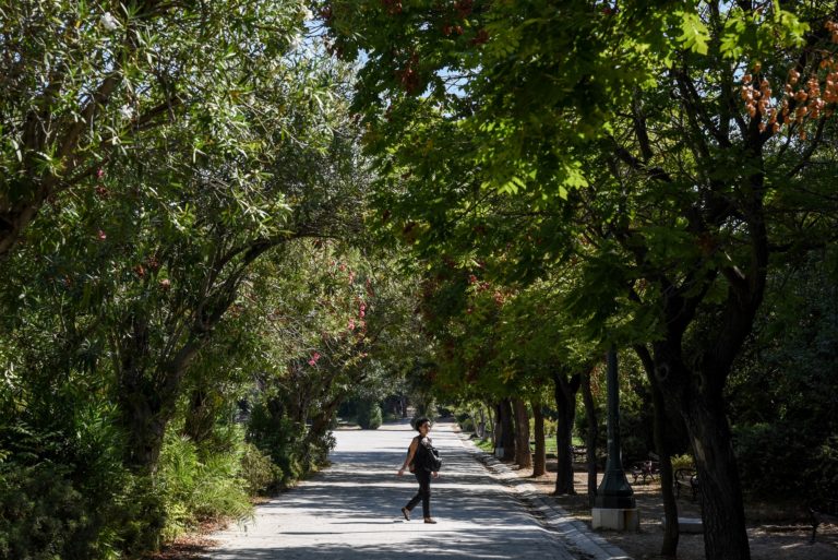 Έρευνα: Δύο έως τέσσερις φορές πιο δροσερές οι δεντροφυτεμένες ευρωπαϊκές πόλεις