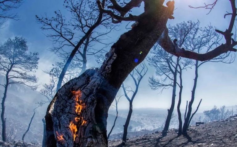 Περισσότερες πυρκαγιές και καμένα εδάφη φέτος στη Θεσσαλία