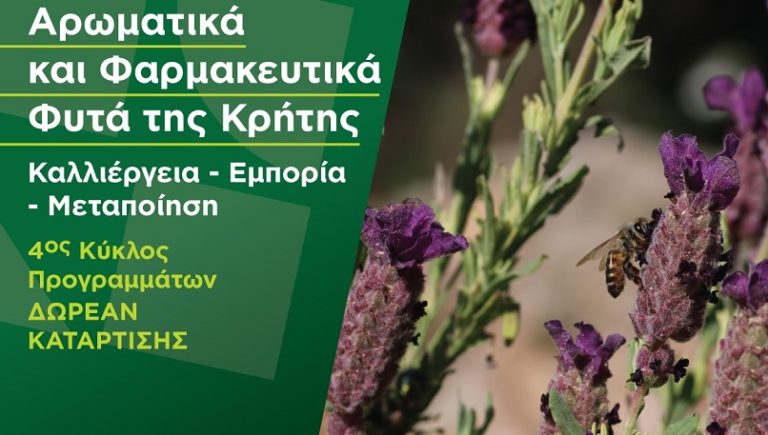 Συνεργασία του ΜΑΪΧ με το ίδρυμα “Στ. Νιάρχος”