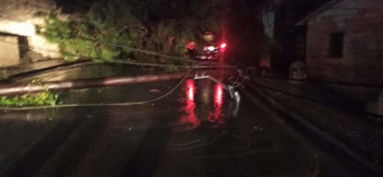 Ζάκυνθος: Δέντρο έπεσε σε αυτοκίνητο – Σώοι οι δύο επιβαίνοντες