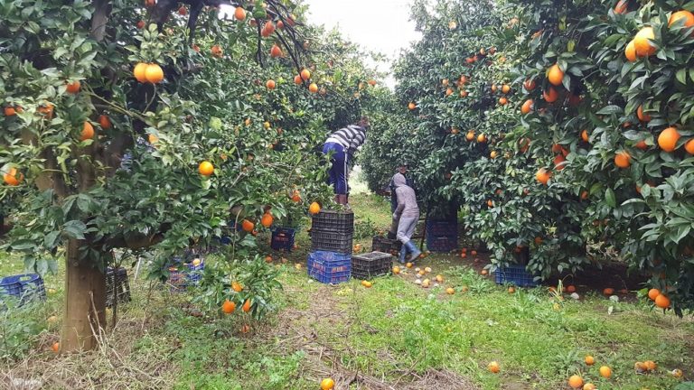 Παράταση παραμονής εργατών γης