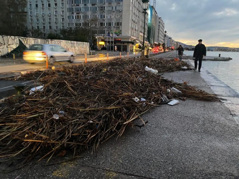 Θεσσαλονίκη: Ο δυνατός άνεμος έφερε φερτά υλικά στο πλακόστρωτο της Νέας Παραλίας (video)