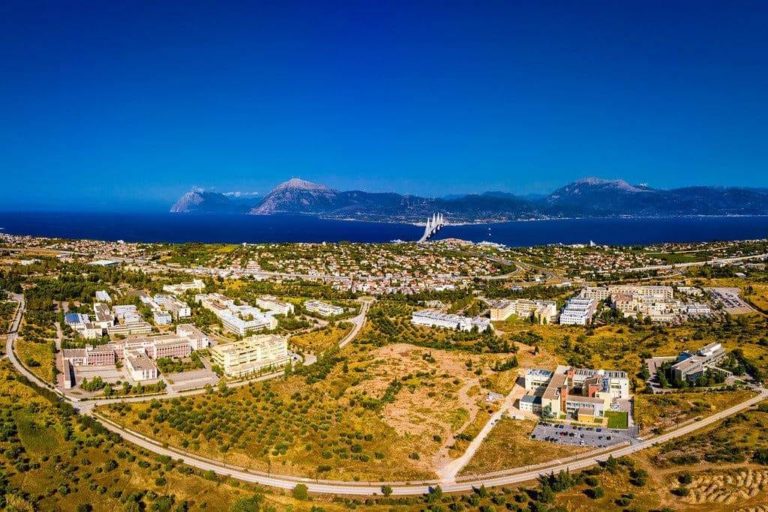 Πάτρα: Ανησυχία των πρυτανικών αρχών για νέες επιθέσεις αδέσποτων σε φοιτητές