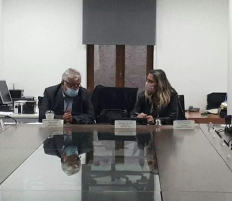 Στο δημαρχείο Μεγαλόπολης η Π. Πέρκα του ΣΥΡΙΖΑ για τα θέματα της μεταλιγνιτικής εποχής