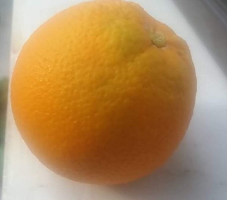 Ζητούν να συμπεριληφθούν τα πορτοκάλια στα προϊόντα της συνδεδεμένης ενίσχυσης