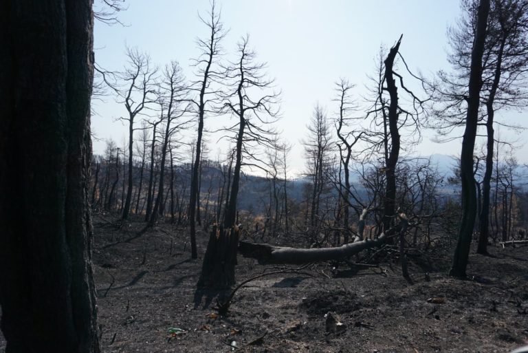 Χρηματική ενίσχυση δήμων Λακωνίας για κάλυψη αναγκών πυροπροστασίας