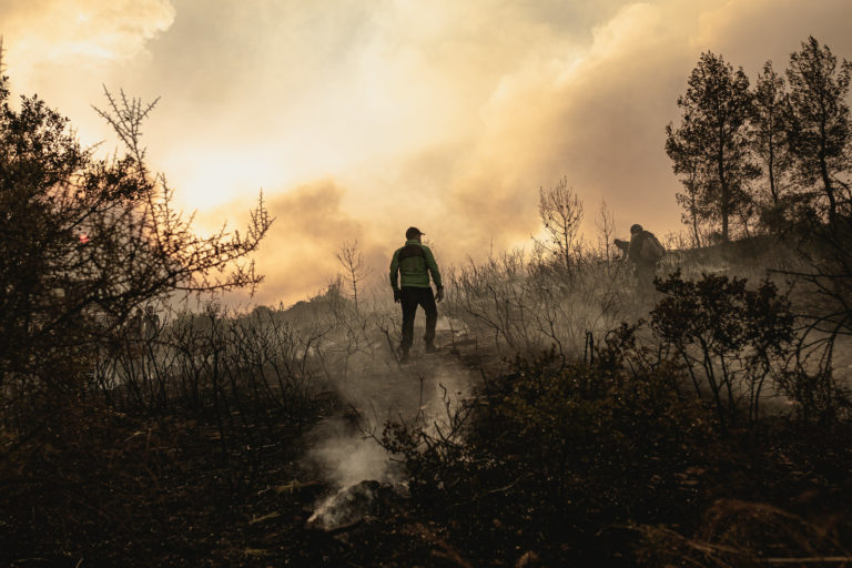 WWF Ελλάς: Οι μεγαπυρκαγιές δεν αφήνουν κανένα περιθώριο εφησυχασμού – Η πρόληψη είναι η μόνη λύση