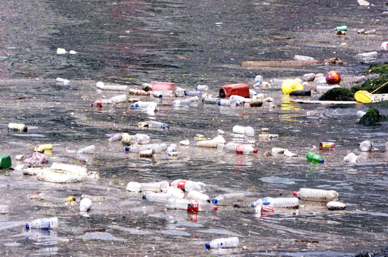 Αραπάκης: Μεγάλη απειλή η πλαστική ρύπανση — Η ανθρωπότητα δεν θα μπορέσει να επιβιώσει