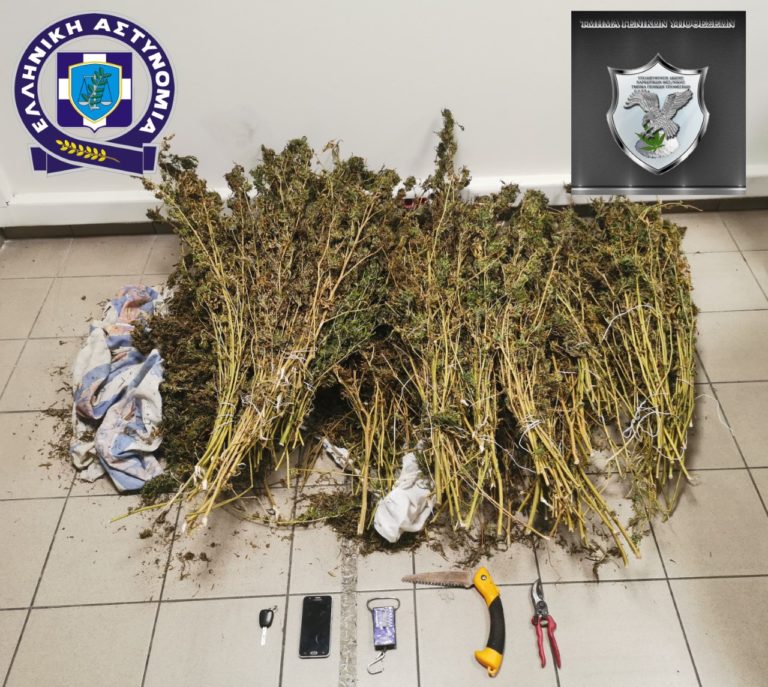 Συνελήφθη 53χρονος με οκτώ κιλά κάνναβης στη Θεσσαλονίκη