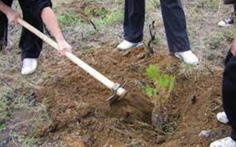 Δενδροφύτευση στα Γρεβενά στις 5 και 6 Νοεμβρίου