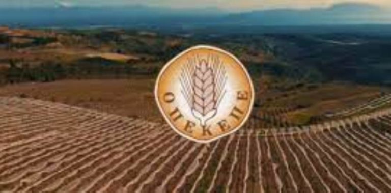 Πάργα: Πρόστιμα σε δεκάδες αγρότες από τον ΟΠΕΚΕΠΕ επειδή ο Δήμος Πάργας ξέχασε να δηλώσει τα χωράφια του