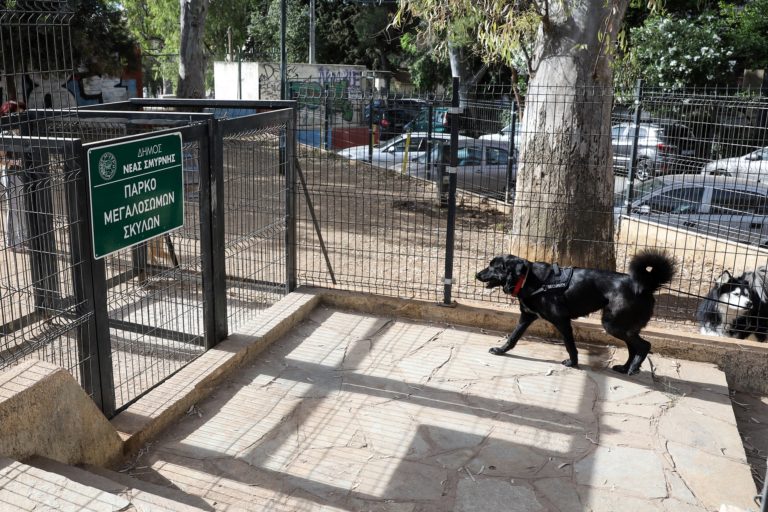 «Μετακομίζει» το πάρκο σκύλων του Δήμου Νέας Σμύρνης