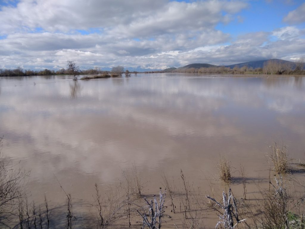 Χιλιάδες στρέμματα καλλιεργειών στον Δήμο Φαρκαδόνας “παραδόθηκαν” στα ορμητικά νερά του Πηνειού