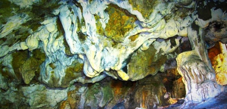 Πεζοπορία στην Δρακοσπηλιά  στο δάσος της Βυτίνας