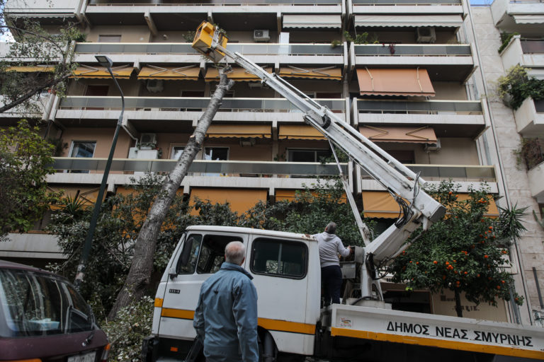 Πτώση δέντρου σε πολυκατοικία στη Νέα Σμύρνη (εικόνες)