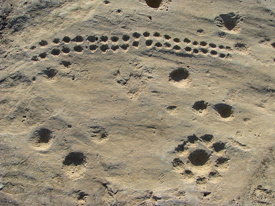 960px Dot carvings at Jebel Jassassiyeh
