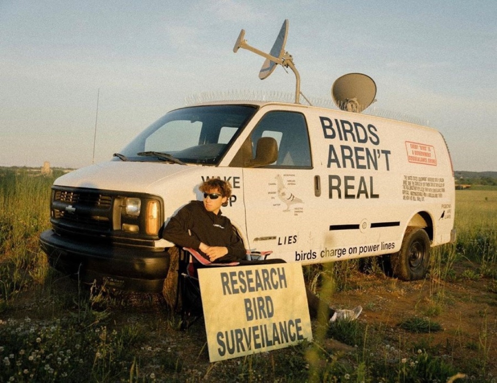 «Birds Aren’t Real»: Ένα κοινωνικό πείραμα της γενιάς Ζ