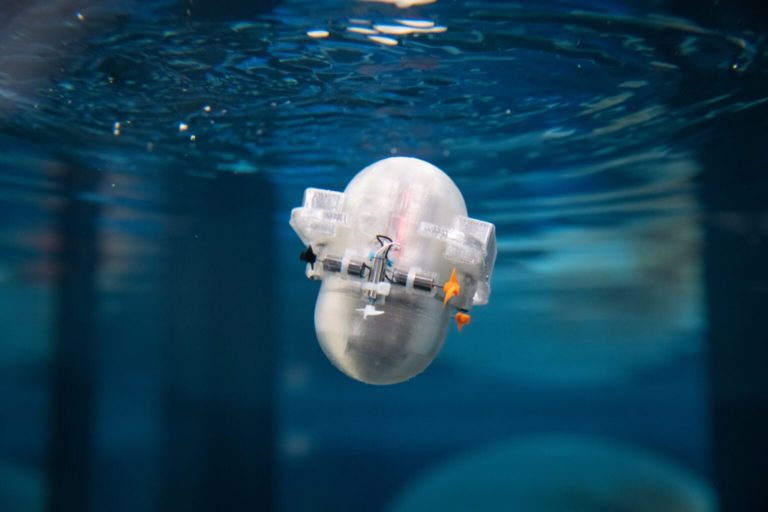 Αυτό το μικροσκοπικό ρομπότ μαθαίνει να εξερευνά μόνο του τον ωκεανό