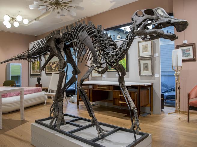 Ιταλία: Δημοπρατήθηκε σκελετός δεινόσαυρου για 300.000€ – Η συλλογή φυσικών εκθεμάτων ως νέα μορφή επένδυσης