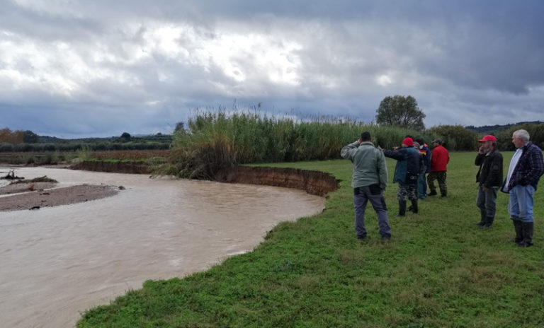 Πύργος: Με εξαφάνιση απειλούνται πλέον οι καλλιέργειες της Κουτσοχέρας