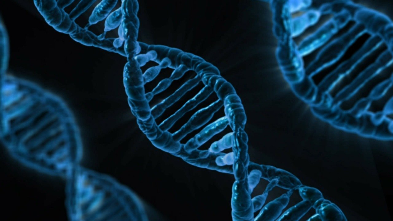 Μικροτσίπ από κλώνο DNA παρέχει τρισδιάστατη αποθήκευση δεδομένων με χαμηλό κόστος