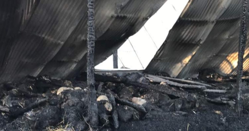 Φωτιά κατέστρεψε κτηνοτροφική μονάδα στην Καστοριά