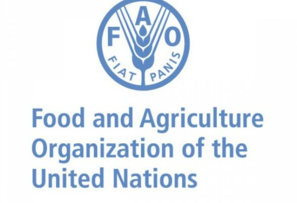 Στη Λατινική Αμερική, εκατομμύρια άνθρωποι πεινούν εξαετίας της πανδημίας