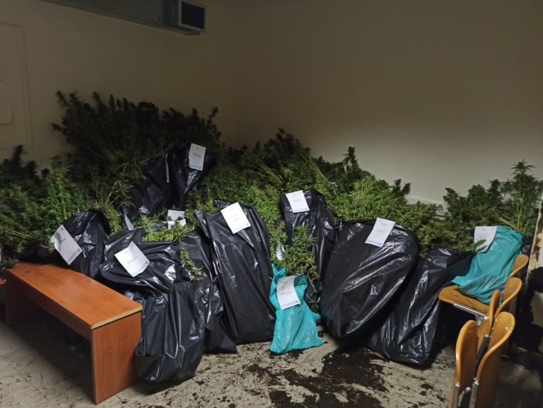 Οργάνωση διακινούσε ναρκωτικά στην Αττική: Ο τρόπος δράσης και οι διακριτοί ρόλοι (εικόνες)