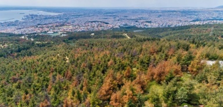 Προς υλοποίηση το αυτόνομο σύστημα ανίχνευσης πυρκαγιών στο δάσος του Σέιχ Σου