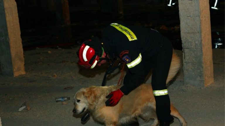 Μεσσηνία: Ο σκύλος της ΕΜΑΚ εντόπισε ζωντανό τον 68χρονο που αγνοούταν στη Χρυσοκελλαριά