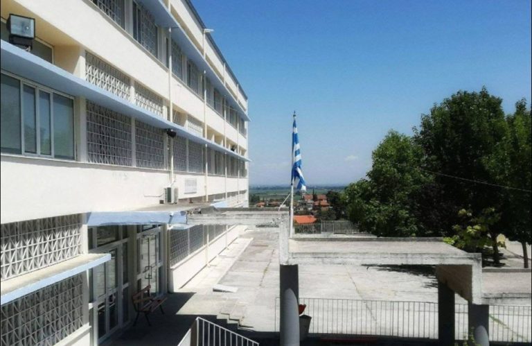 Οι «Θεματοφύλακες του Συντάγματος» άσκησαν βία μπροστά στα παιδιά, αποκαλύπτει η Διευθύντρια της Β’ Εκπαίδευσης Πιερίας (video)