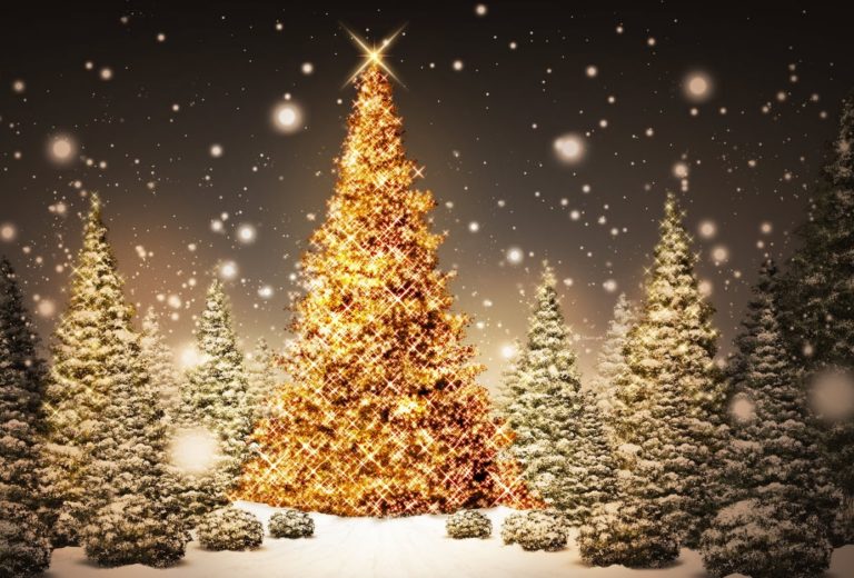 Φωταγωγείται το χριστουγεννιάτικο δένδρο της Μεγαλόπολης
