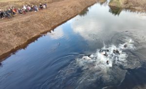 Μεσσήνη: Αγιασμός των υδάτων στον Πάμισο ποταμό