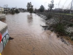 Πλημμυρισμένοι δρόμοι στην Αγριά Μαγνησίας – Διακοπή κυκλοφορίας προς τις Άσπρες Πεταλούδες (video)