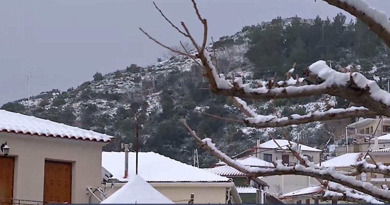 Κακοκαιρία «Ελπίδα»: Δριμύ ψύχος σε όλη τη χώρα - Χιόνια σε Εύβοια και Κρήτη - ertnews.gr