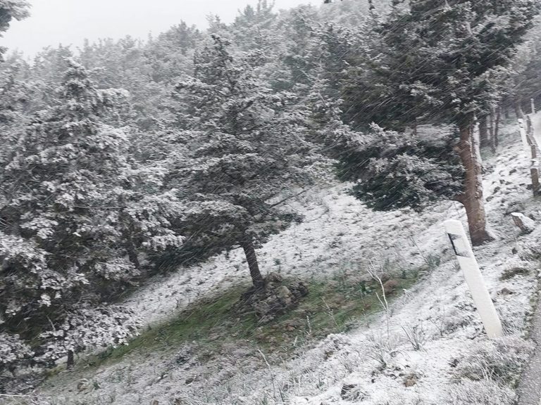 Ξεκίνησε η χιονόπτωση στα ορεινά της Ρόδου