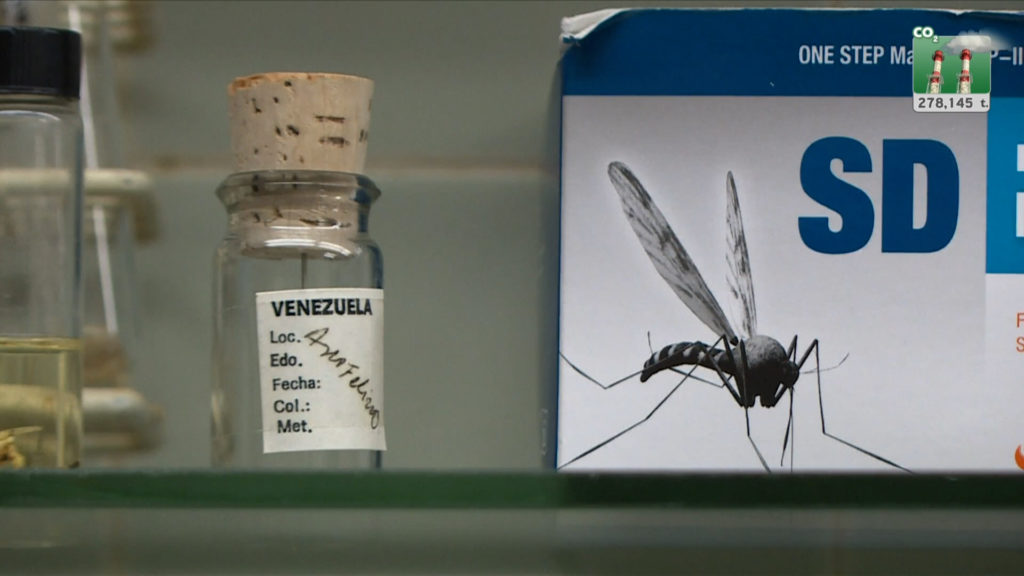 «Κλίμα» — Ενημερωτικό ένθετο της ΕΡΤ: Ο υψηλός κίνδυνος από τα κουνούπια και η νέα τεχνολογία εντοπισμού τους (video)