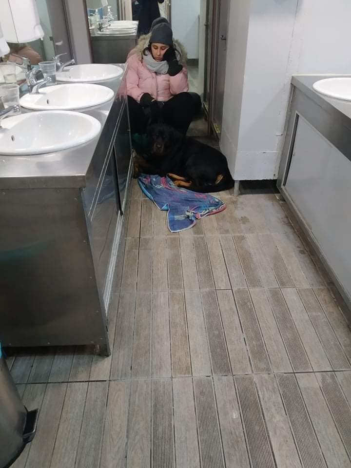 Βόλος: Ταξίδεψε στην τουαλέτα του πλοίου μαζί με το σκύλο της γιατί της απαγόρευσαν την είσοδο στο σαλόνι