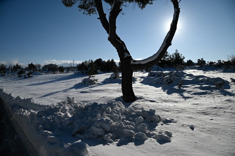 H  χαμηλότερη θερμοκρασία: -15,4 °C για άλλη μια ημέρα στο Λευκοχώρι Φθιώτιδας